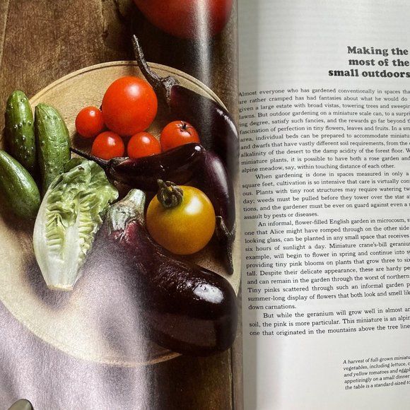 How to Grow Miniatures and Bonsai Plants u Time Life Encyclopedia of Gardening 1 - Picture 7 of 9